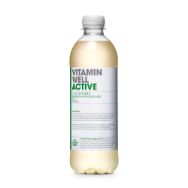 Pilt VITAMIN WELL Active vitamiinijook 500ml