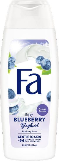 Pilt Fa dushigeel Yoghurt  BLUEBERRY 250ml