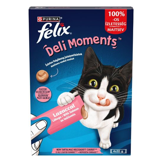 Pilt Felix kassimaius Deli Moments lõhe 4x10g