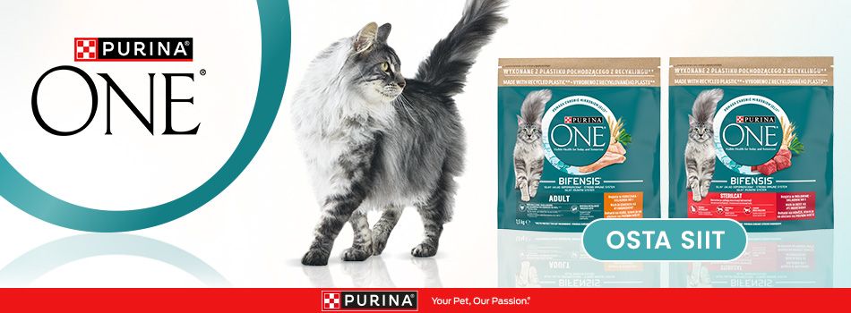 Purina jt loomatoidud hea hinnaga