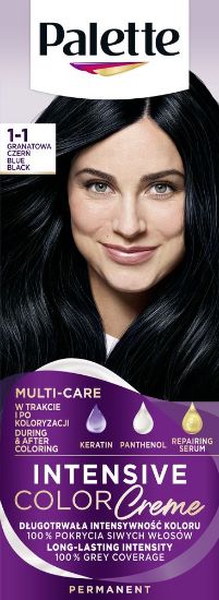 Pilt Palette ICC püsivärv 1-1 (C1) SINIMUST