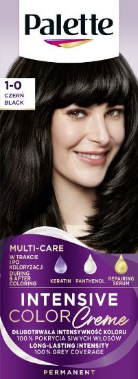 Pilt Palette ICC püsivärv 1-0 (N1) INTENSIIVNE MUST