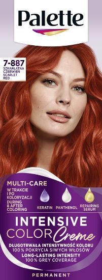 Pilt Palette ICC püsivärv 7-887 (RV6) EREPUNANE