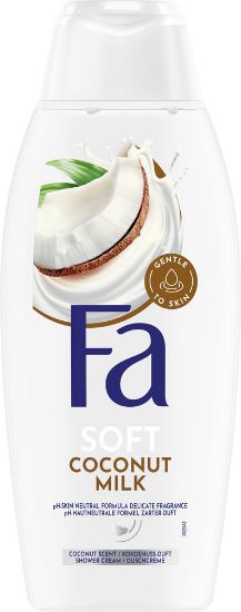 Pilt Fa dushigeel COCONUT MILK 400ml