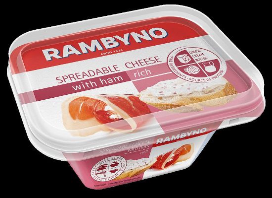 Pilt Rambyno määrdejuust singiga , 50% rasva,175g