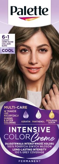 Pilt Palette ICC püsivärv 6-1 Jahe tumeblond