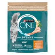 Pilt One kuiv kassitoit Adult kana 750g