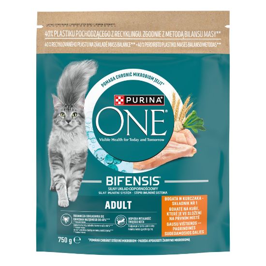 Pilt One kuiv kassitoit Adult kana 750g
