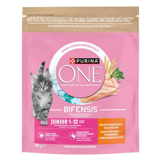 Pilt One kuiv kassitoit Junior kana 750g