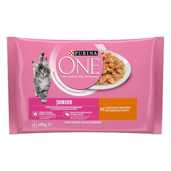 Pilt One kiisueine Junior Minifileed kanaga 4x85g