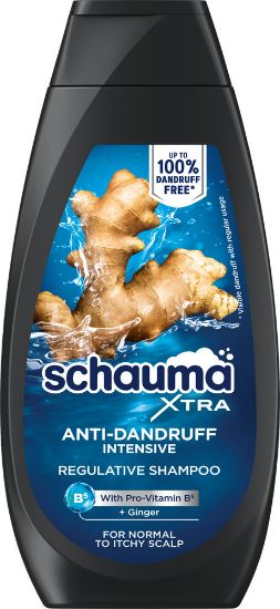 Pilt Schauma šampoon MEN ANTI-DANDRUFF INTENSIVE 350ml
